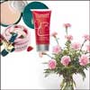 Lots of Fun - Click here to View more details about this Product